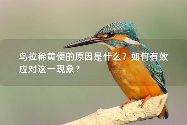 鸟拉稀黄便的原因是什么？如何有效应对这一现象？