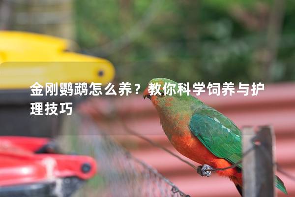 金刚鹦鹉怎么养？教你科学饲养与护理技巧