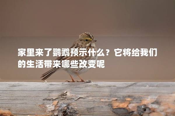 家里来了鹦鹉预示什么？它将给我们的生活带来哪些改变呢