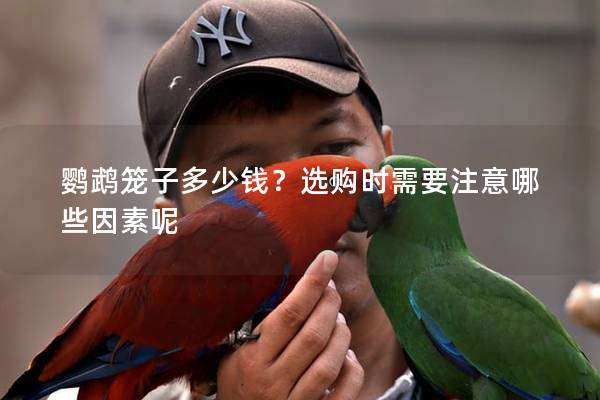 鹦鹉笼子多少钱？选购时需要注意哪些因素呢