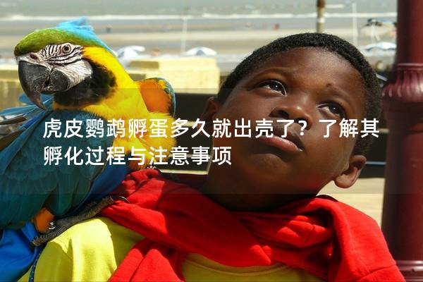 虎皮鹦鹉孵蛋多久就出壳了？了解其孵化过程与注意事项