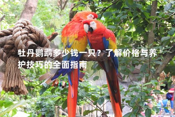 牡丹鹦鹉多少钱一只？了解价格与养护技巧的全面指南
