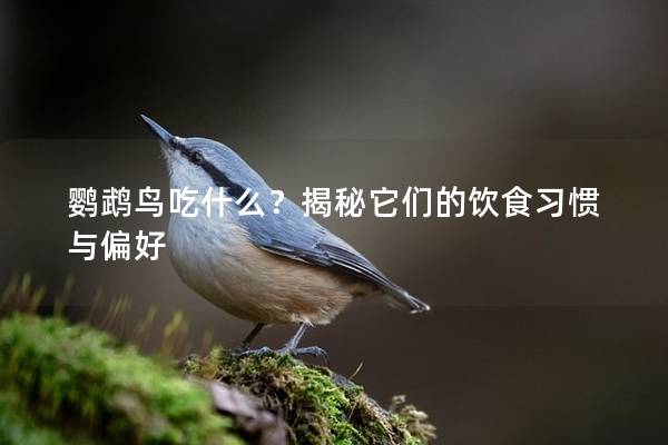 鹦鹉鸟吃什么？揭秘它们的饮食习惯与偏好