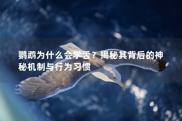 鹦鹉为什么会学舌？揭秘其背后的神秘机制与行为习惯
