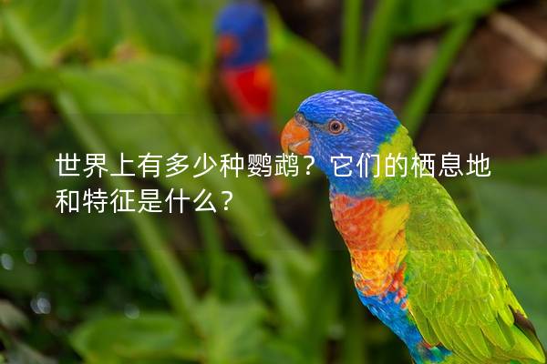 世界上有多少种鹦鹉？它们的栖息地和特征是什么？