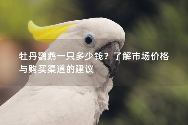 牡丹鹦鹉一只多少钱？了解市场价格与购买渠道的建议