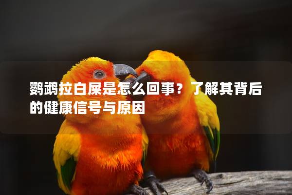 鹦鹉拉白屎是怎么回事？了解其背后的健康信号与原因