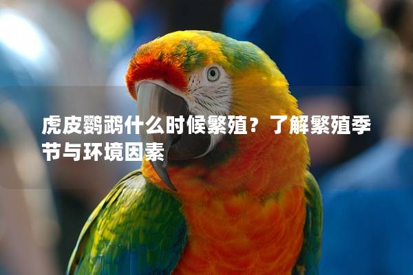 虎皮鹦鹉什么时候繁殖？了解繁殖季节与环境因素