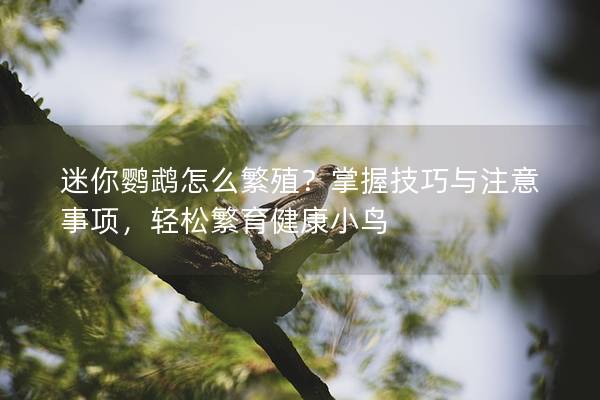 迷你鹦鹉怎么繁殖？掌握技巧与注意事项，轻松繁育健康小鸟