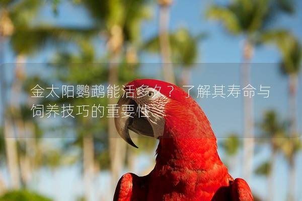 金太阳鹦鹉能活多久？了解其寿命与饲养技巧的重要性