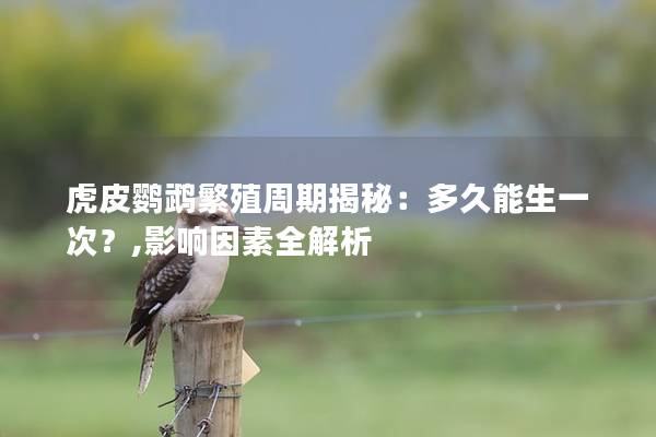 虎皮鹦鹉繁殖周期揭秘：多久能生一次？,影响因素全解析