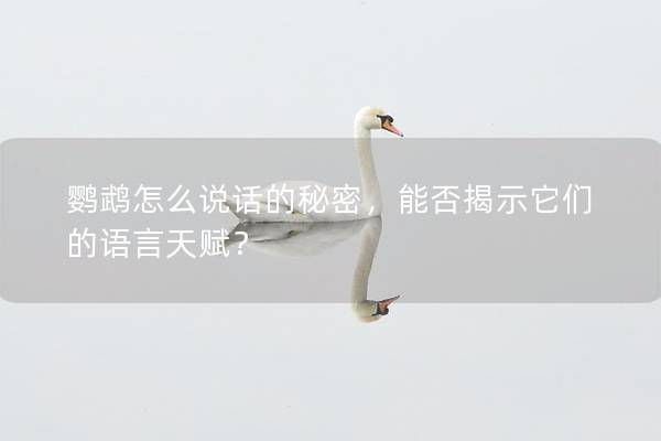 鹦鹉怎么说话的秘密，能否揭示它们的语言天赋？