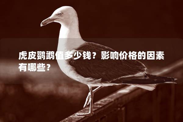 虎皮鹦鹉值多少钱？影响价格的因素有哪些？