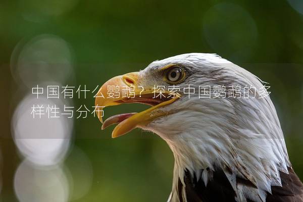 中国有什么鹦鹉？探索中国鹦鹉的多样性与分布