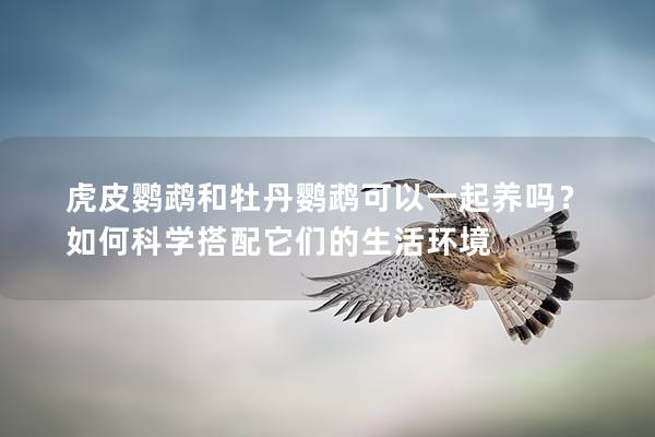 虎皮鹦鹉和牡丹鹦鹉可以一起养吗？如何科学搭配它们的生活环境