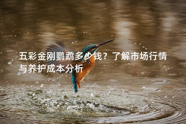 五彩金刚鹦鹉多少钱？了解市场行情与养护成本分析