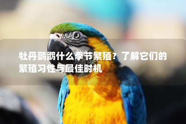 牡丹鹦鹉什么季节繁殖？了解它们的繁殖习性与最佳时机