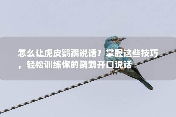 怎么让虎皮鹦鹉说话？掌握这些技巧，轻松训练你的鹦鹉开口说话