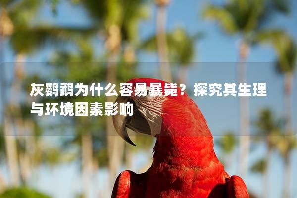灰鹦鹉为什么容易暴毙？探究其生理与环境因素影响