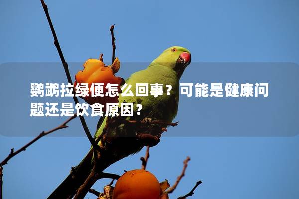 鹦鹉拉绿便怎么回事？可能是健康问题还是饮食原因？
