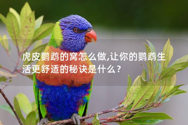 虎皮鹦鹉的窝怎么做,让你的鹦鹉生活更舒适的秘诀是什么？