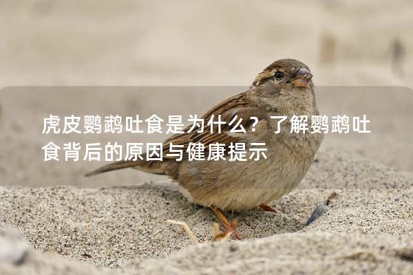 虎皮鹦鹉吐食是为什么？了解鹦鹉吐食背后的原因与健康提示