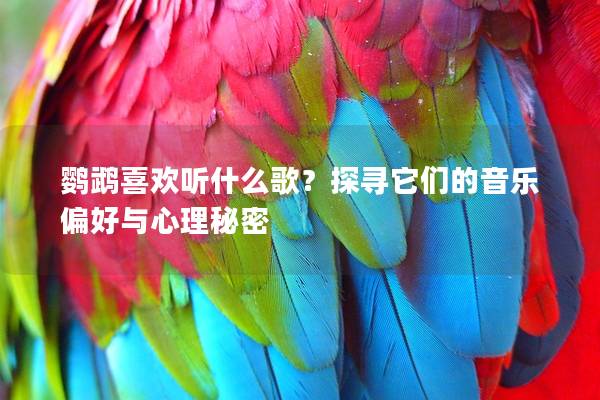 鹦鹉喜欢听什么歌？探寻它们的音乐偏好与心理秘密