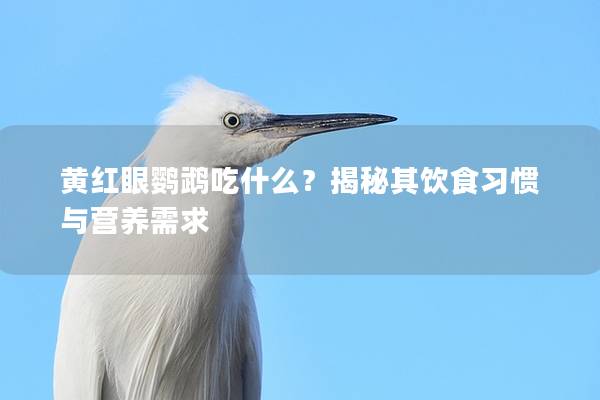 黄红眼鹦鹉吃什么？揭秘其饮食习惯与营养需求