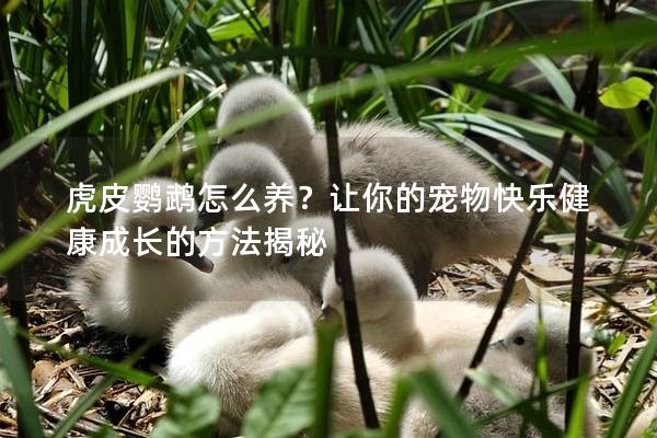 虎皮鹦鹉怎么养？让你的宠物快乐健康成长的方法揭秘