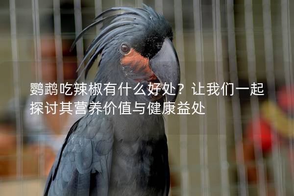 鹦鹉吃辣椒有什么好处？让我们一起探讨其营养价值与健康益处