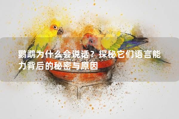 鹦鹉为什么会说话？探秘它们语言能力背后的秘密与原因