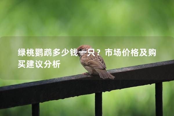 绿桃鹦鹉多少钱一只？市场价格及购买建议分析