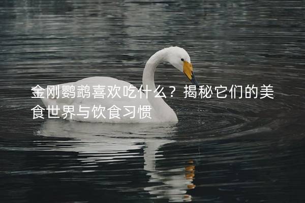 金刚鹦鹉喜欢吃什么？揭秘它们的美食世界与饮食习惯