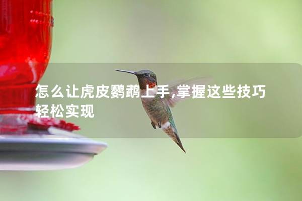 怎么让虎皮鹦鹉上手,掌握这些技巧轻松实现