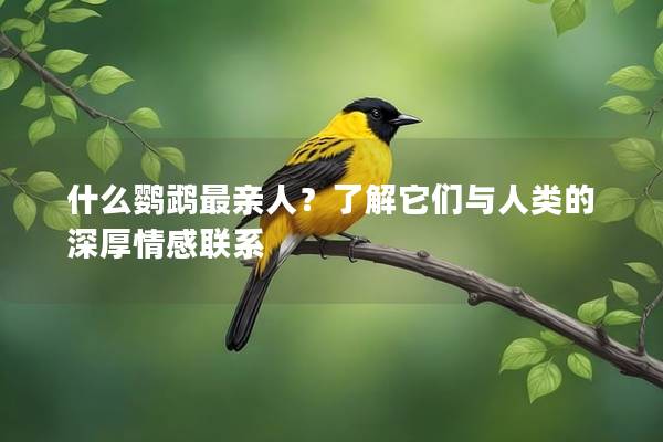 什么鹦鹉最亲人？了解它们与人类的深厚情感联系