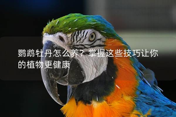 鹦鹉牡丹怎么养？掌握这些技巧让你的植物更健康