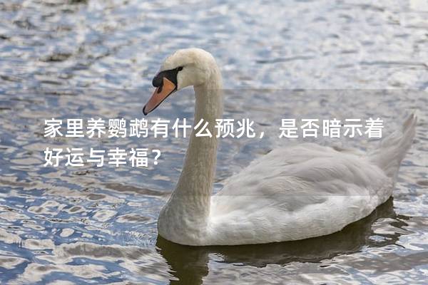 家里养鹦鹉有什么预兆，是否暗示着好运与幸福？