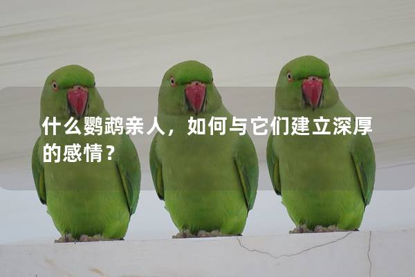 什么鹦鹉亲人，如何与它们建立深厚的感情？