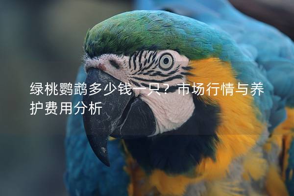 绿桃鹦鹉多少钱一只？市场行情与养护费用分析