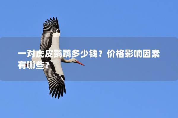 一对虎皮鹦鹉多少钱？价格影响因素有哪些？