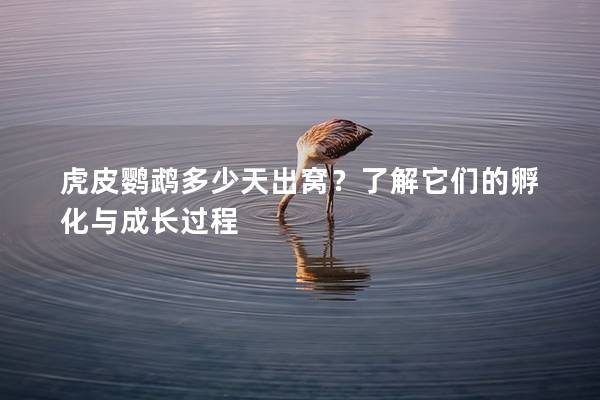 虎皮鹦鹉多少天出窝？了解它们的孵化与成长过程
