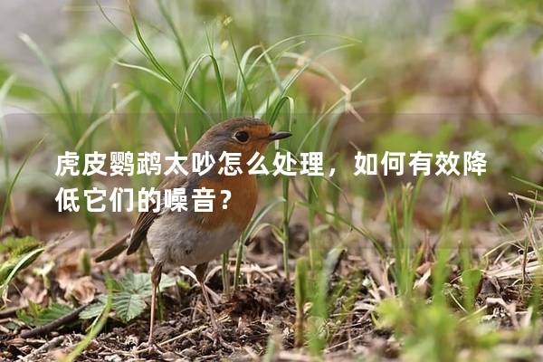 虎皮鹦鹉太吵怎么处理，如何有效降低它们的噪音？
