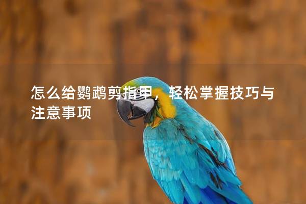 怎么给鹦鹉剪指甲，轻松掌握技巧与注意事项