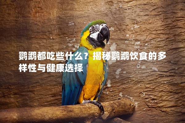鹦鹉都吃些什么？揭秘鹦鹉饮食的多样性与健康选择