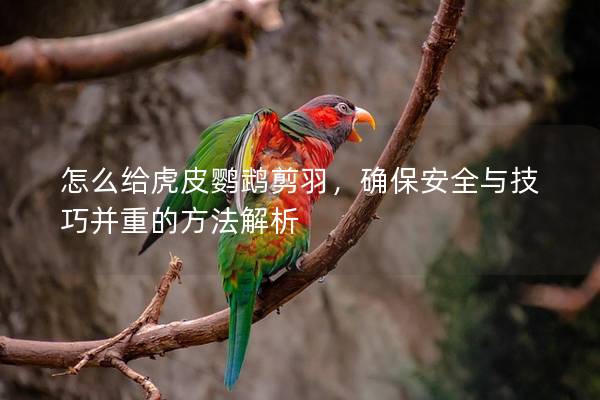 怎么给虎皮鹦鹉剪羽，确保安全与技巧并重的方法解析