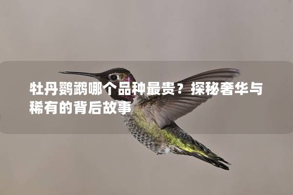 牡丹鹦鹉哪个品种最贵？探秘奢华与稀有的背后故事