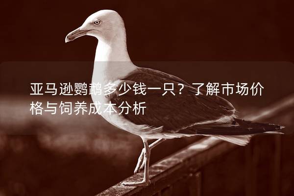 亚马逊鹦鹉多少钱一只？了解市场价格与饲养成本分析
