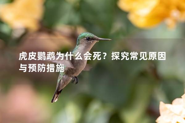 虎皮鹦鹉为什么会死？探究常见原因与预防措施