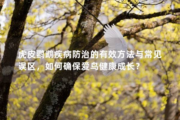 虎皮鹦鹉疾病防治的有效方法与常见误区，如何确保爱鸟健康成长？