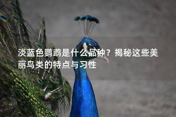 淡蓝色鹦鹉是什么品种？揭秘这些美丽鸟类的特点与习性